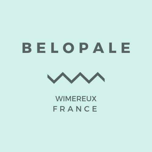 Belopale @ Residence La Belle Epoque Wimereux Kültér fotó